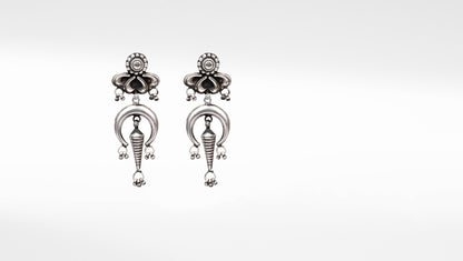 Silver Ilina Stunning Earrings