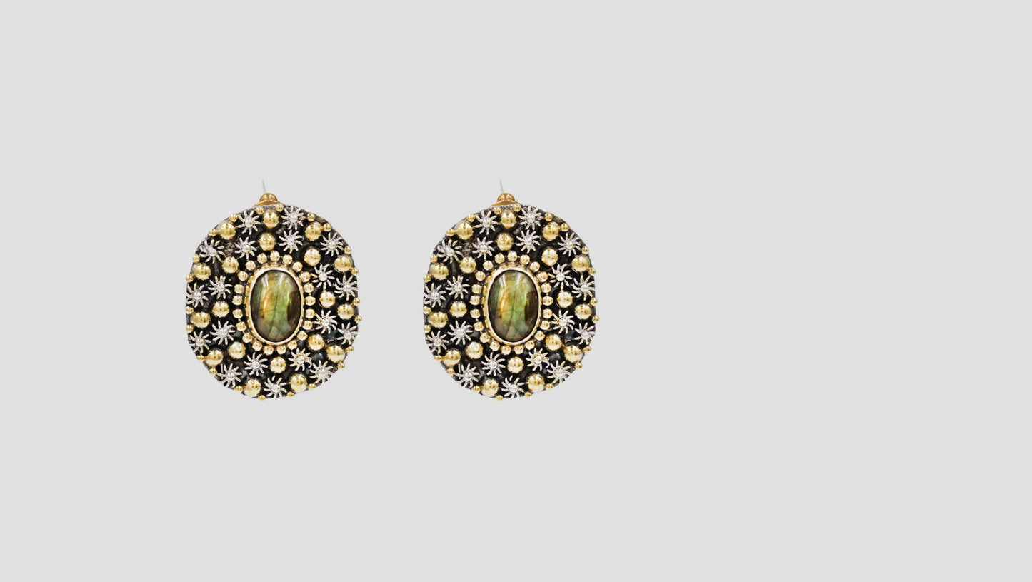 Sangeeta Boochra Designer Dual-Tone Silver Earrings with Labradorite Accent