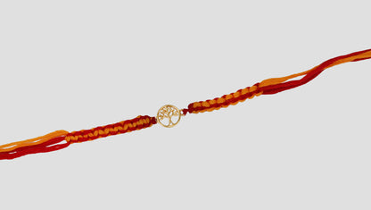 Elegant Sterling Silver Tree of Life Rakhi | Sangeeta Boochra