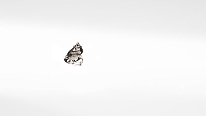 Sangeeta Boochra Silver Ring