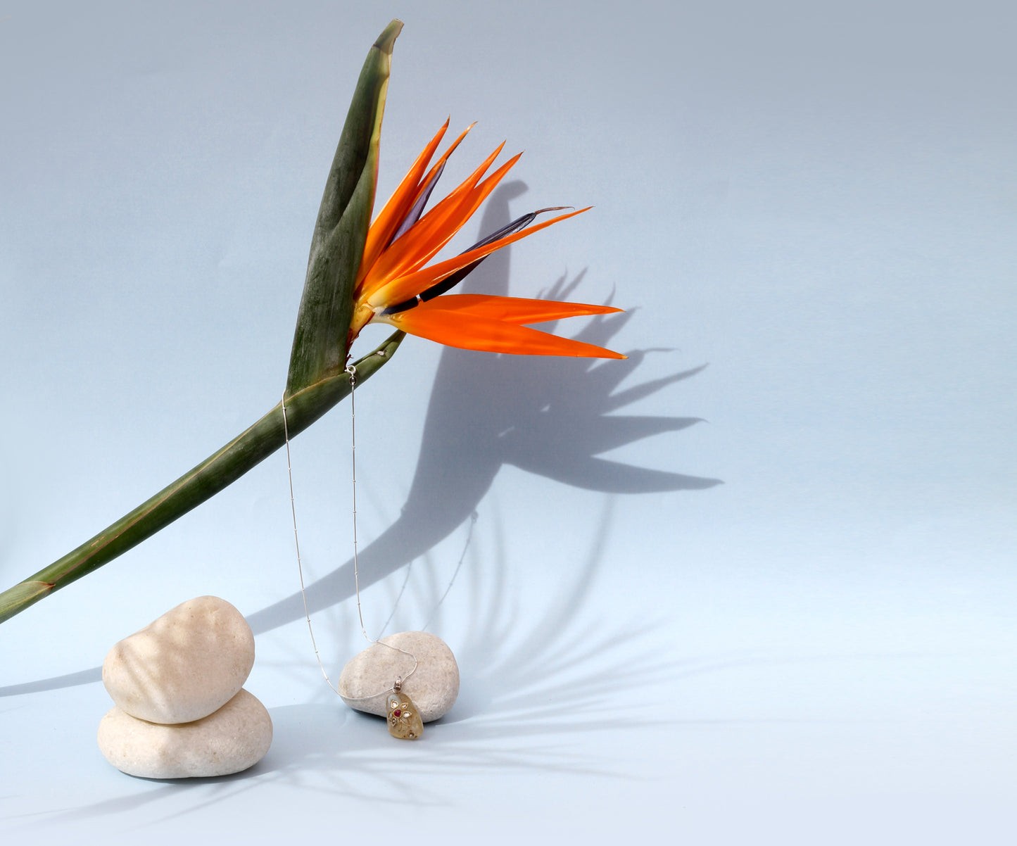 Sangeeta Boochra Silver Pendant