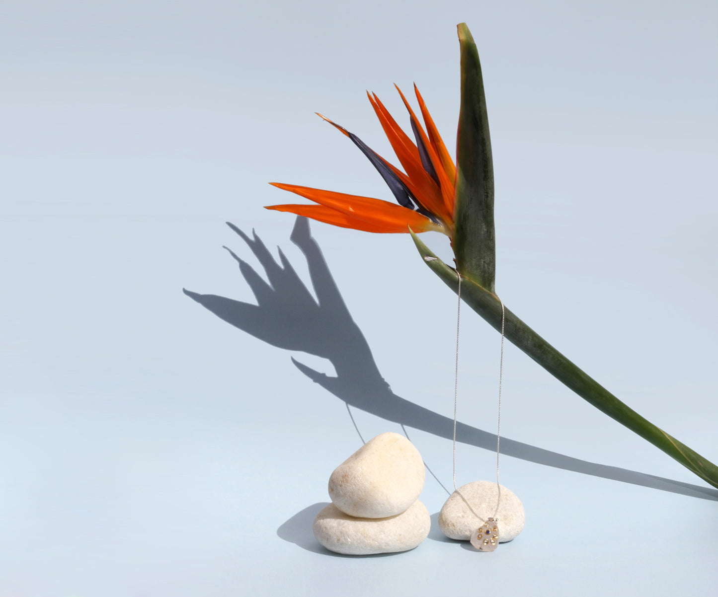 Sangeeta Boochra Silver Pendant