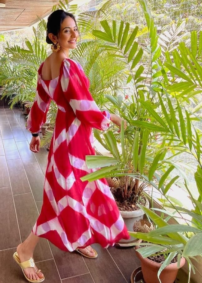 Rakul Preet Singh In Silver Earring