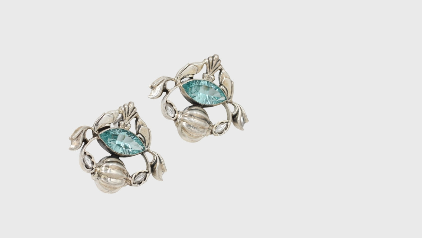 Silver Splendor: Sangeeta Boochra Elegant Earrings