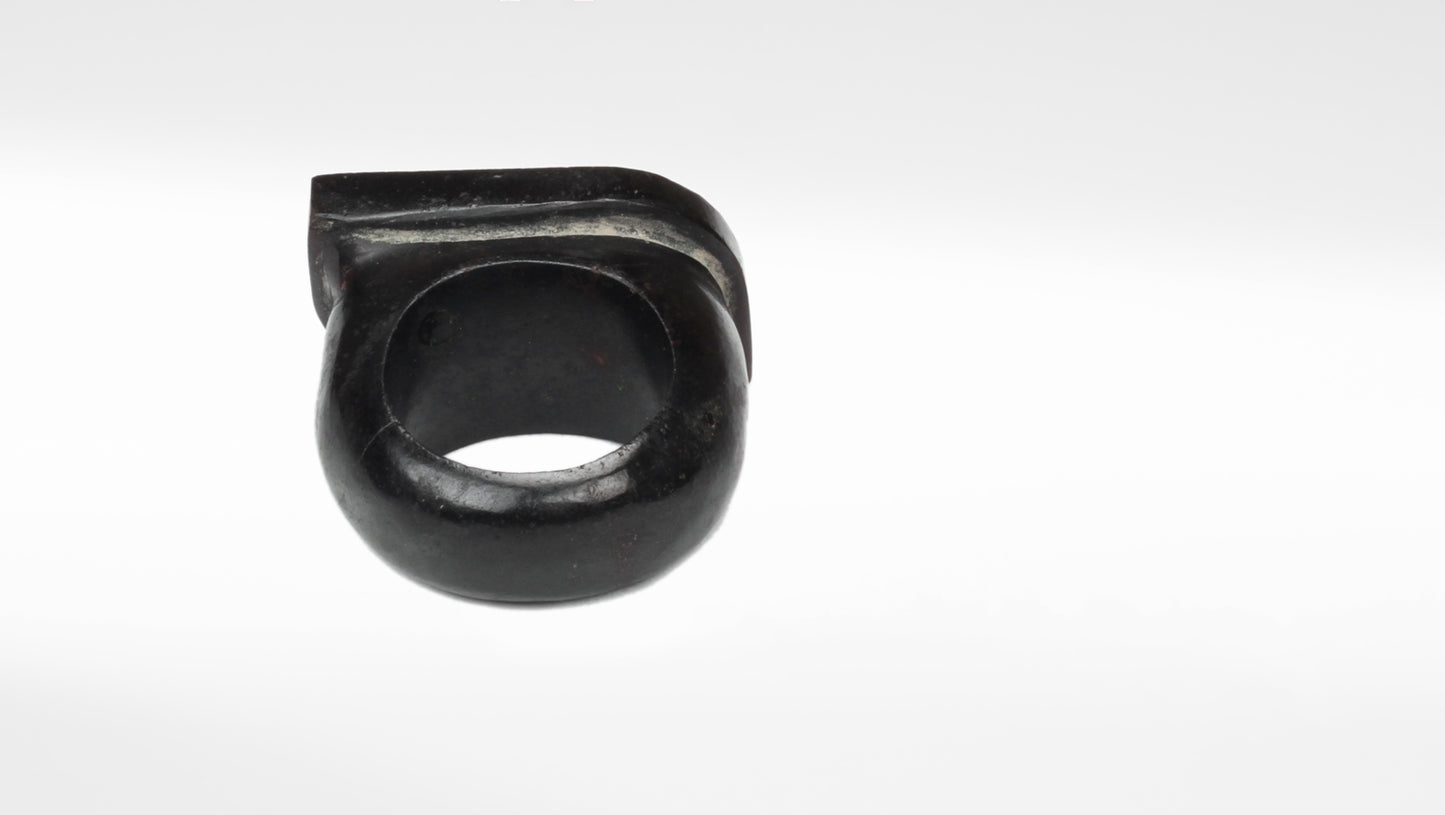 Sangeeta Boochra Black Onyx Ring with Gold Plated Inlay Work