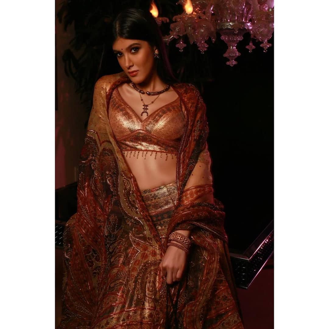 Shanaya Kapoor in Silver Handcrafted Necklace, Earrings, and Bangles (stack)