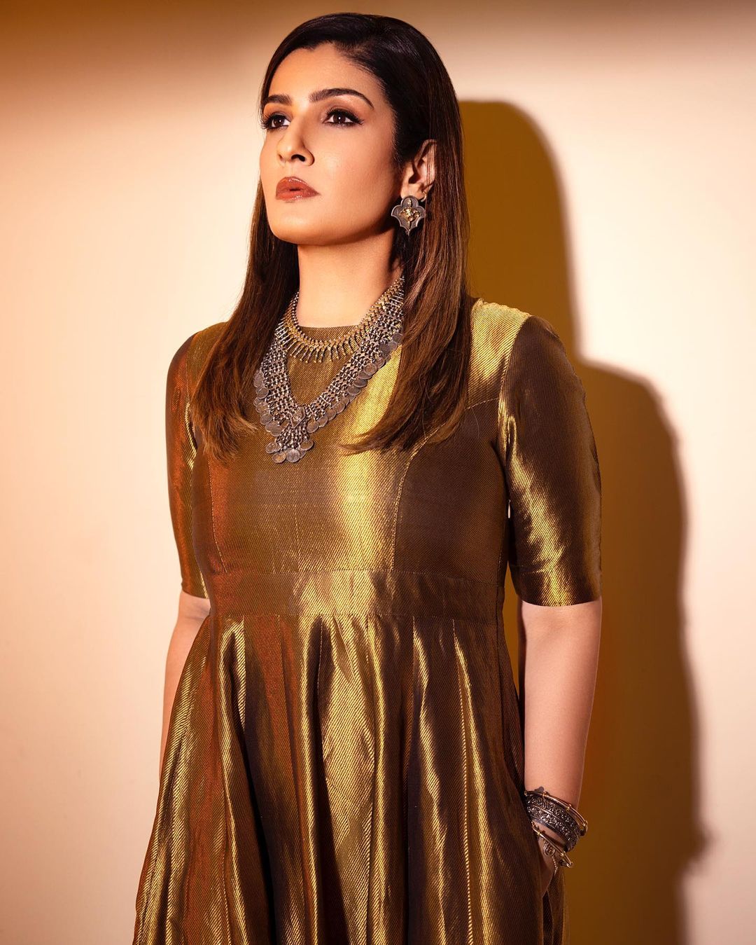 Raveena Tandon In Silver Jewellery