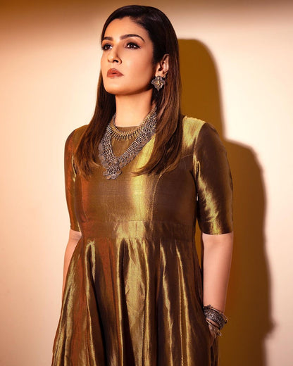 Raveena Tandon In Silver Jewellery