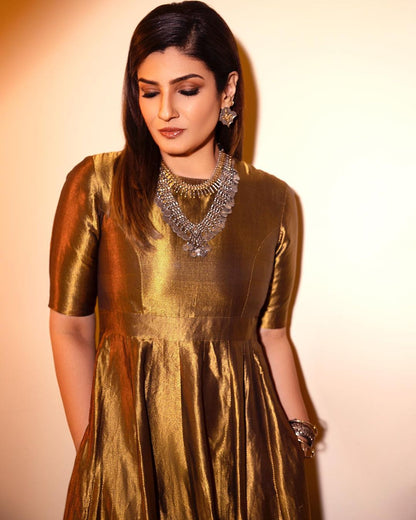 Raveena Tandon In Silver Jewellery