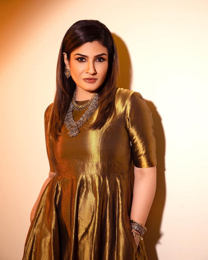 Raveena Tandon In Silver Jewellery