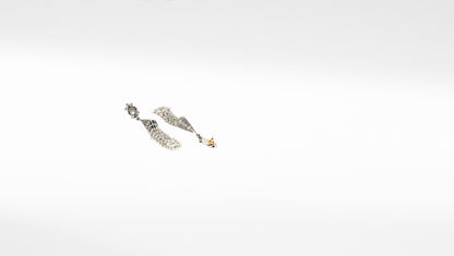 Sangeeta Boochra Silver Earrings