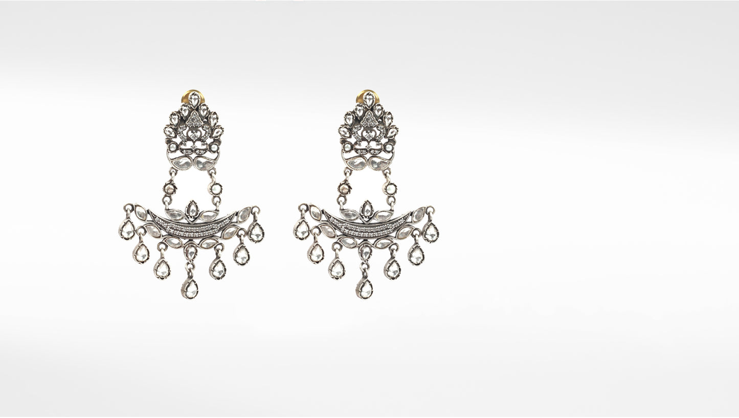 Sangeeta Boochra Tribal Silver Earrings