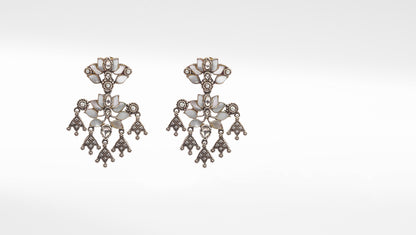 Sangeeta Boochra Tribal Silver Earrings