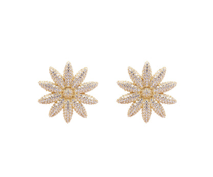 Sangeeta Boochra Silver Earrings-Earrings-Sangeeta Boochra