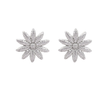 Sangeeta Boochra Silver Earrings-Earrings-Sangeeta Boochra