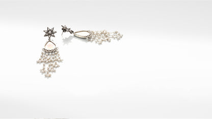 Sangeeta Boochra Silver Earrings