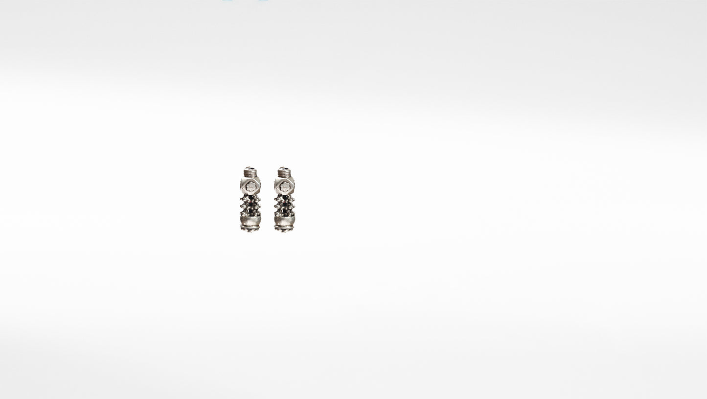 Sangeeta Boochra Tribal Silver Earrings