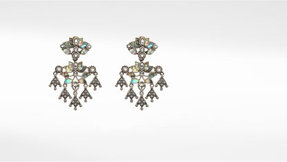 Sangeeta Boochra Tribal Silver Earrings