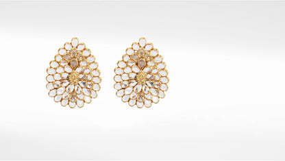 Sangeeta Boochra Gold Tone Silver Earrings