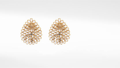 Sangeeta Boochra Gold Tone Silver Earrings